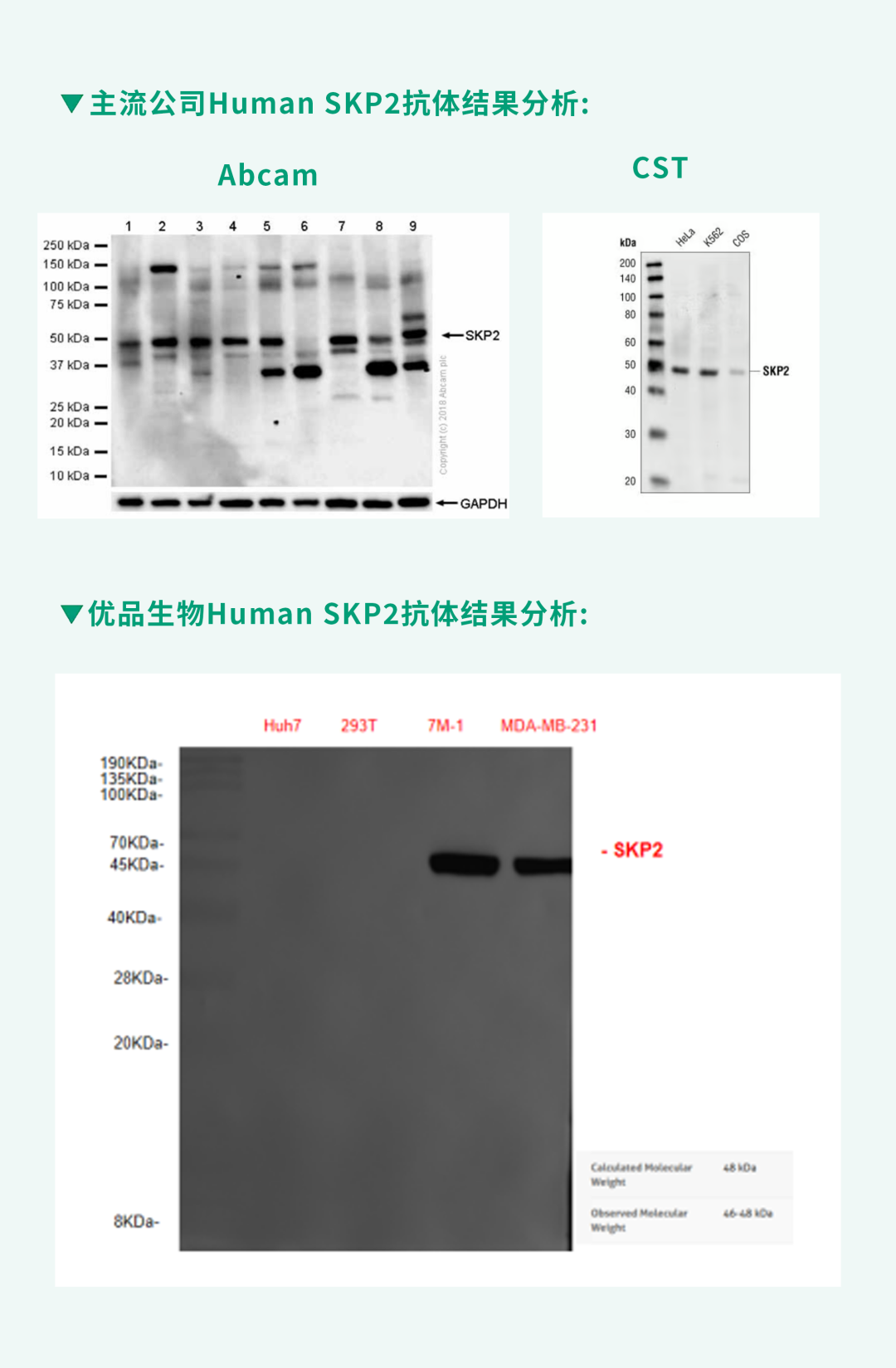 1750904025562.jpg