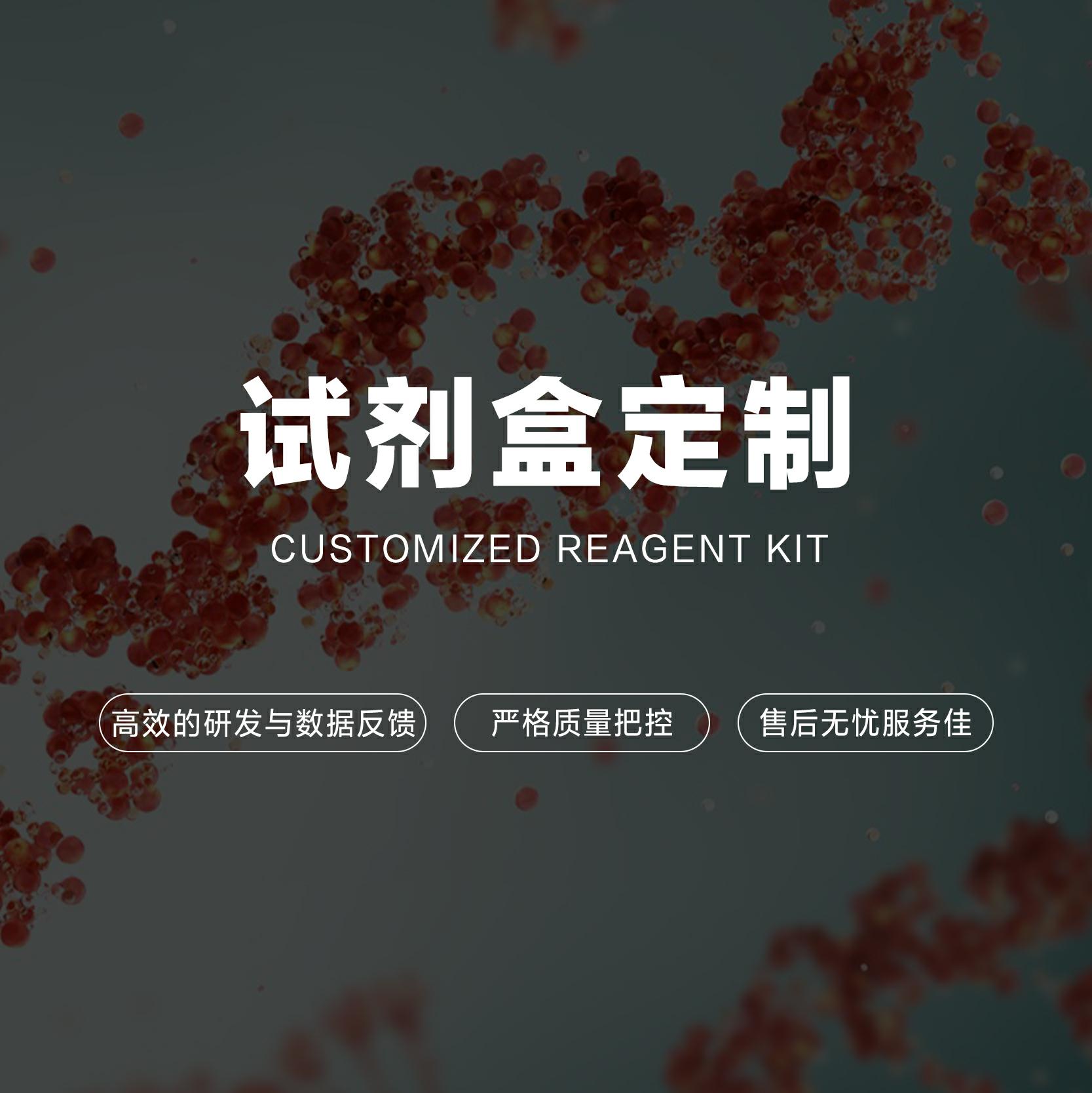 试剂盒定制