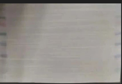 1752738554288.jpg
