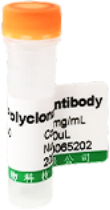 b6cd2e44-27b2-4657-ba5b-6365e9358c7e.png
