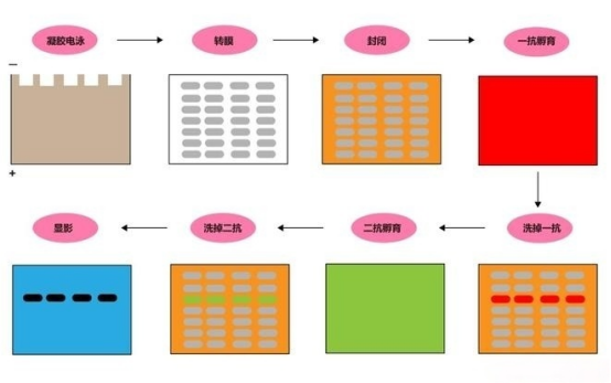 108aadac-9391-4128-a561-ef8a5a619dd8.png