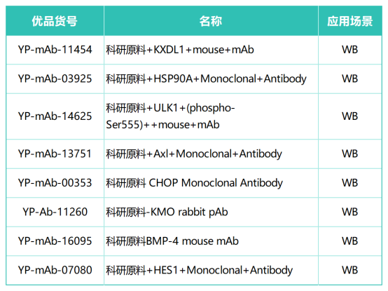 408e642f-f4dd-462f-9ee5-aa8ba27a9db0.png