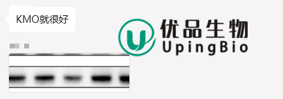 02f78c48-2012-4293-86ff-5c8fcd14a56b.png