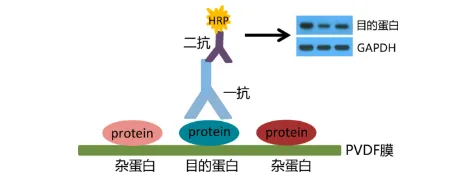 a703d358-be67-4252-80be-448cce327e51.png