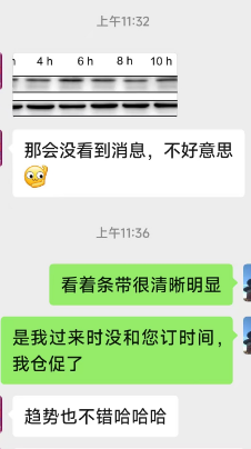5ad975a9-b0ae-4fa0-ae7d-dda2a28543e4.png