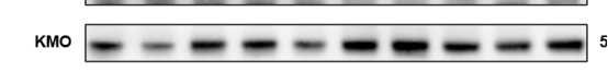 b4a02110-1f0d-4b22-ae2e-a10582f43f1f.png