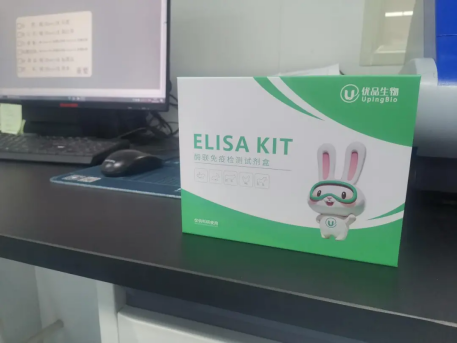 b03e190c-37fd-4763-91fd-5c2ee4effaf6.png