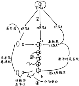 7e7db837-5547-43de-b680-84e0dde424db.png