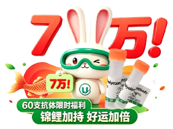 2a0903bb-c27e-48aa-9eee-f8e84352b064.png
