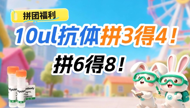 拼团福利｜10ul抗体拼3得4！拼6得8！下单还送好礼！