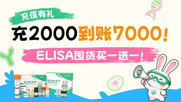 充值有礼｜这次真疯了！充2000到账7000！ELISA囤货买一送一！