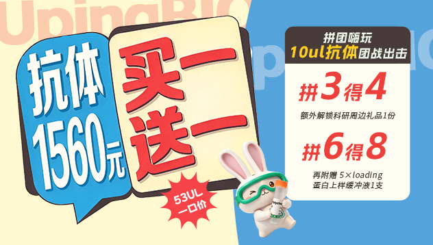 抗体1560元，买一送一！